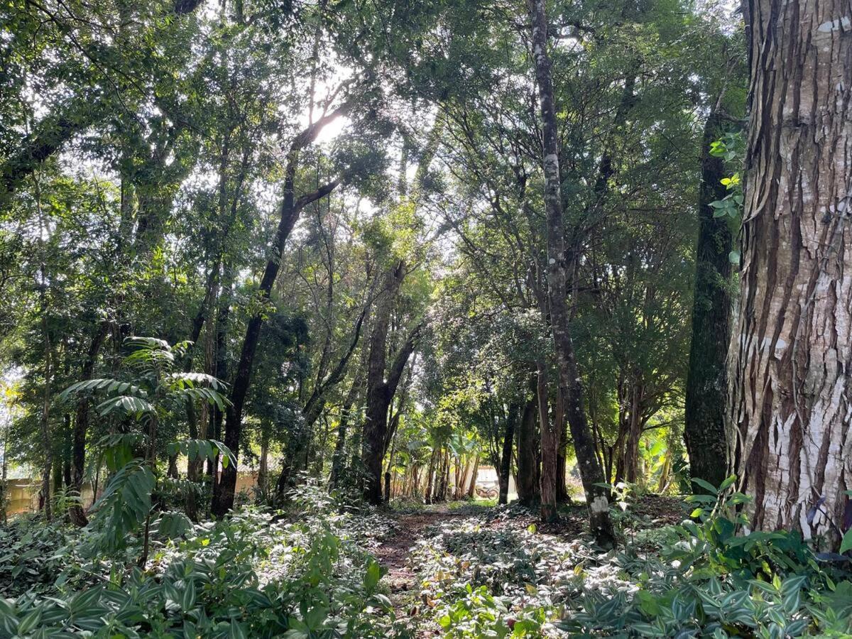 JANGADA DOS TUCANOS, BRUMADINHO, BRAZIL